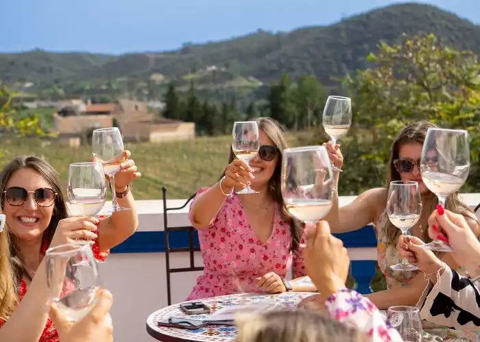 Group toasting rosé glasses on a terrace facing the Var hills
